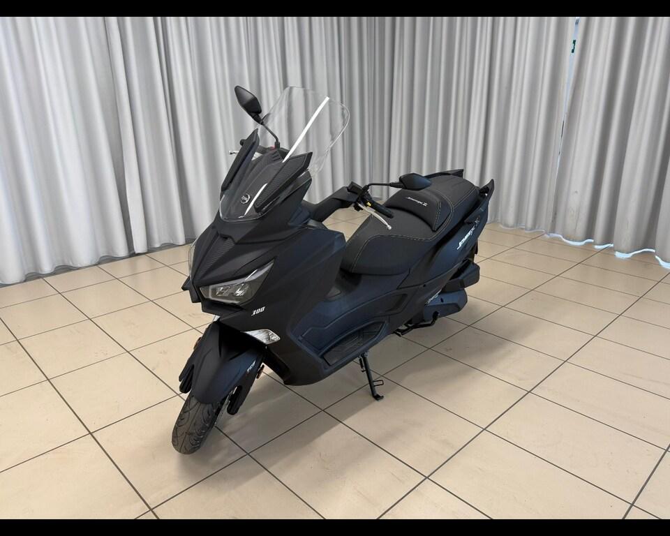 JOYMAX 300