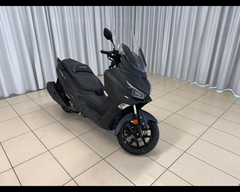 JOYMAX 300