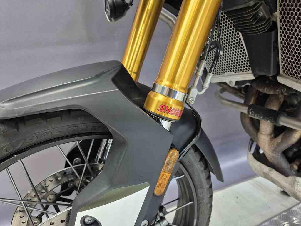 TIGER 900
