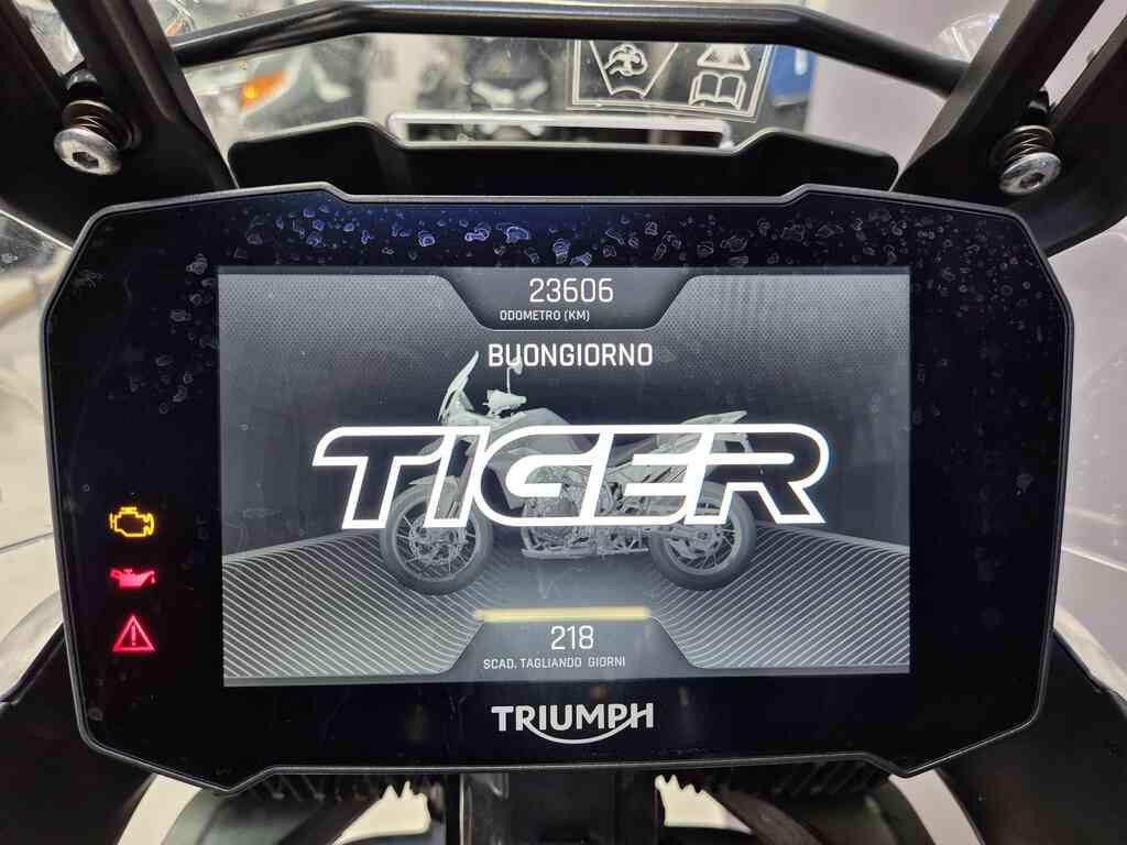 TIGER 900