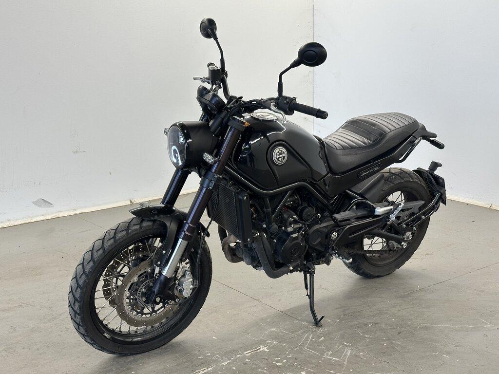 LEONCINO 500