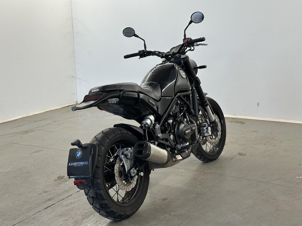LEONCINO 500