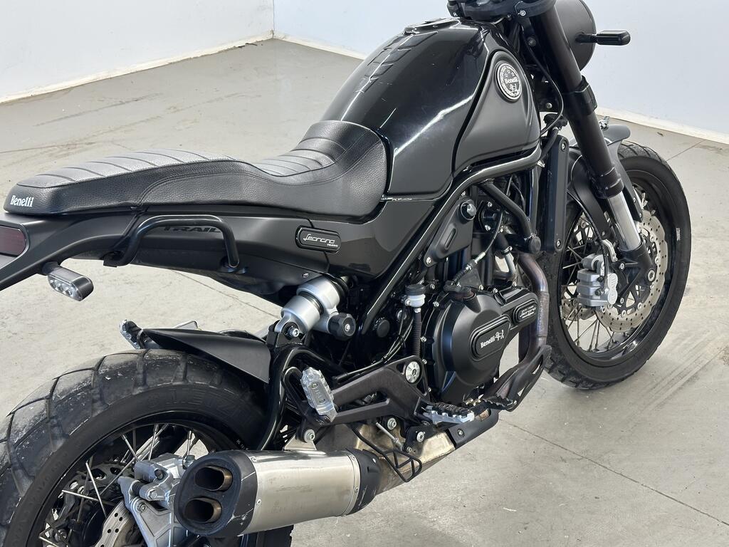 LEONCINO 500
