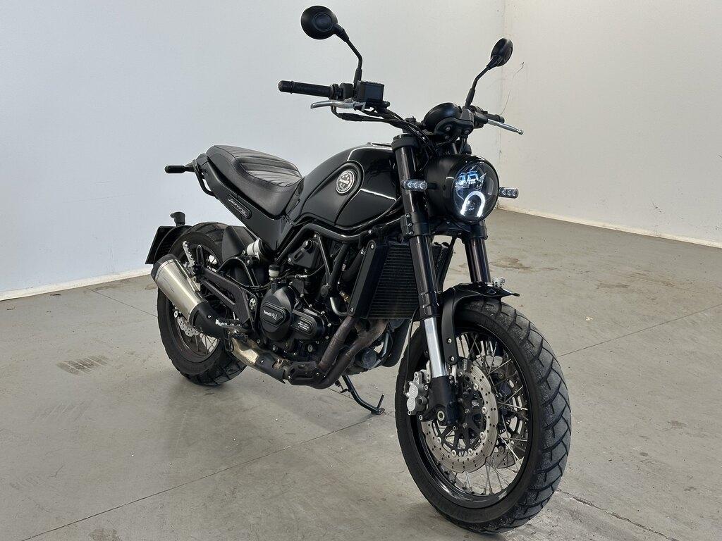LEONCINO 500