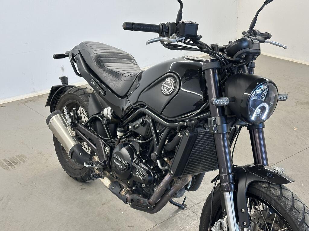 LEONCINO 500