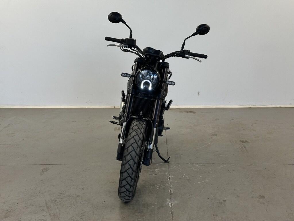 LEONCINO 500