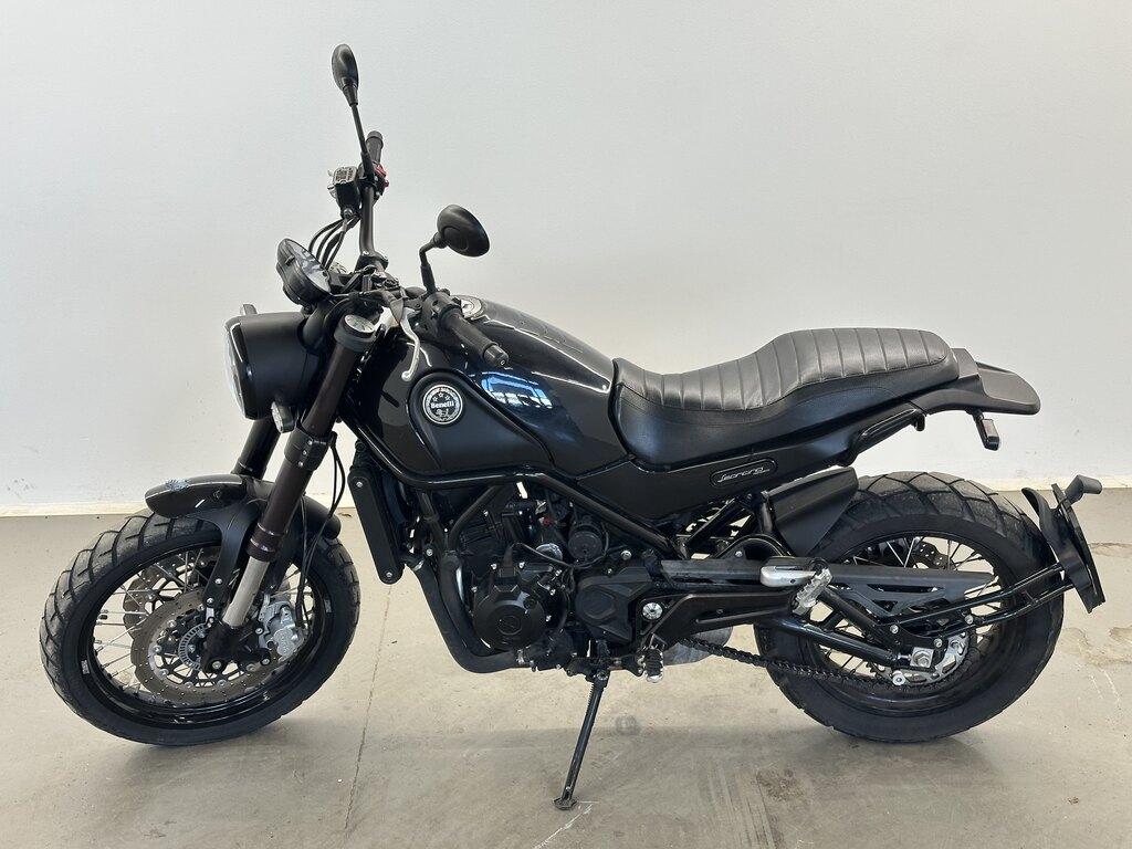 LEONCINO 500