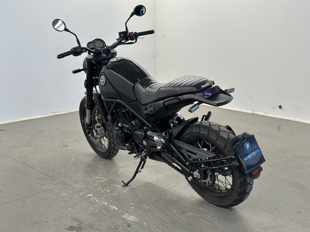 LEONCINO 500