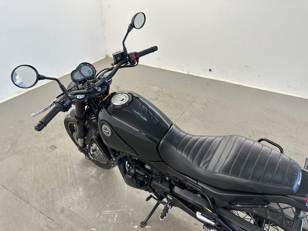 LEONCINO 500