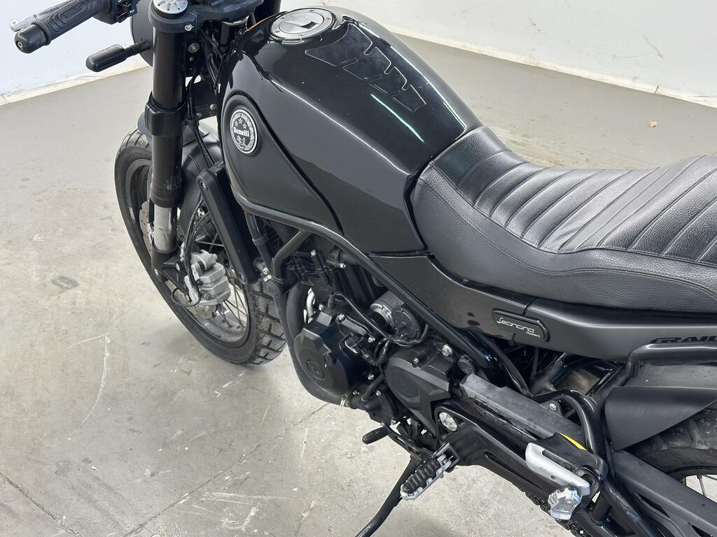 LEONCINO 500