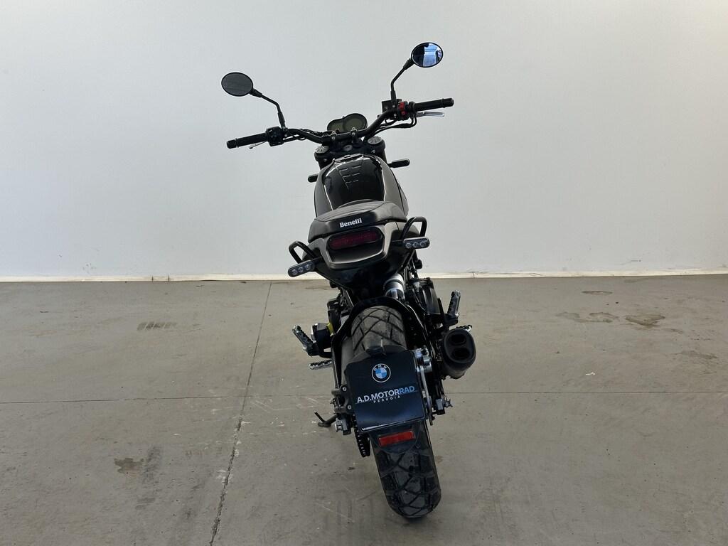 LEONCINO 500