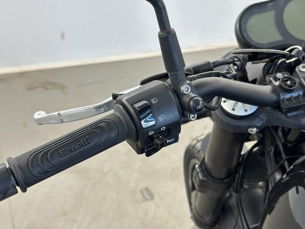 LEONCINO 500