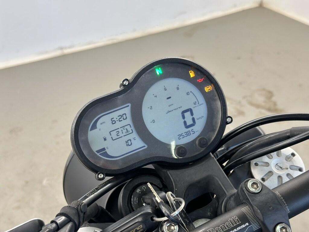 LEONCINO 500