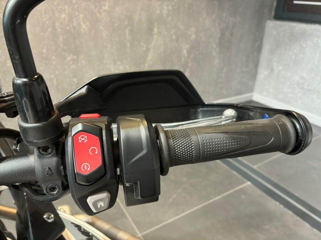 TIGER 900