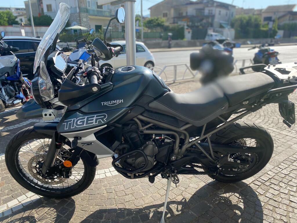 TIGER 800