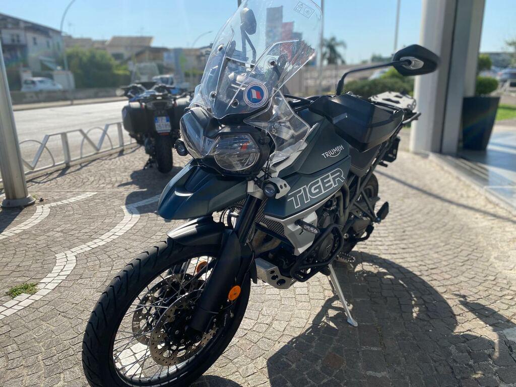 TIGER 800