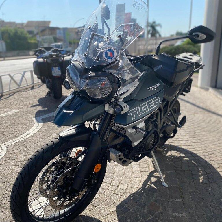 TIGER 800