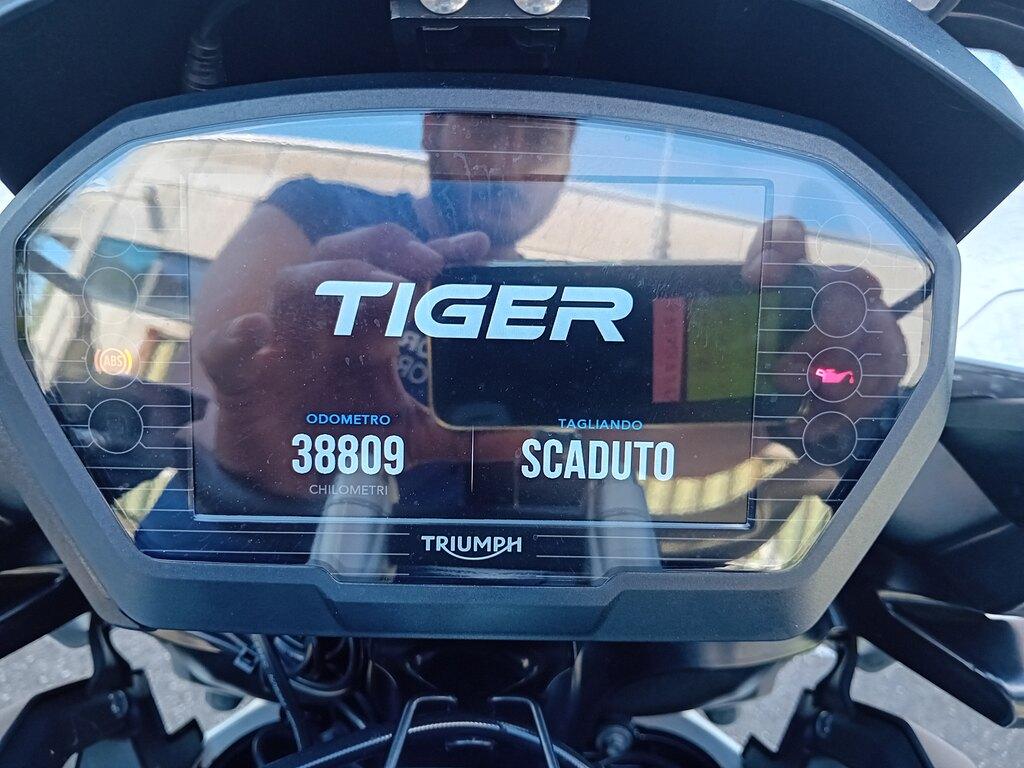 TIGER 1200