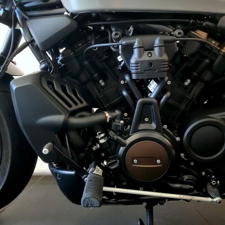 1250 SPORTSTER