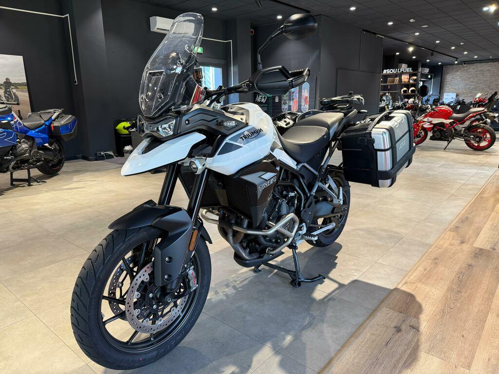TIGER 900