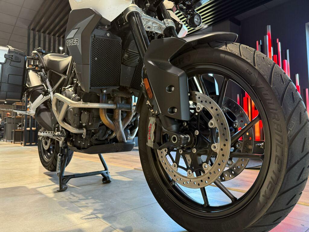 TIGER 900