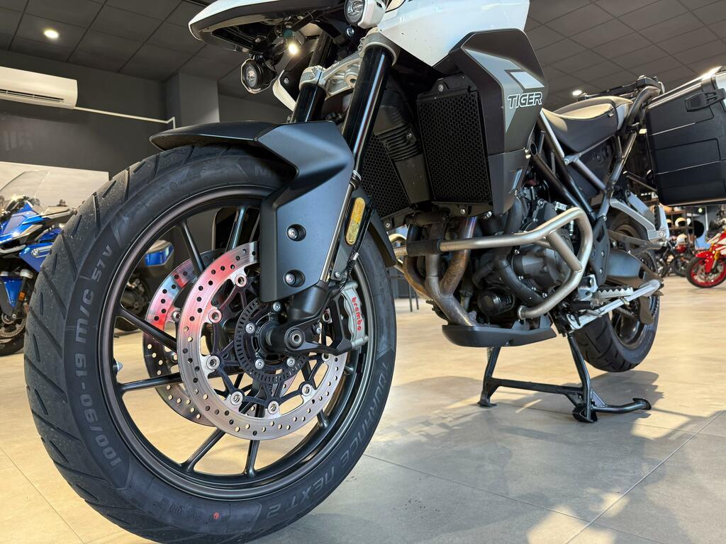 TIGER 900