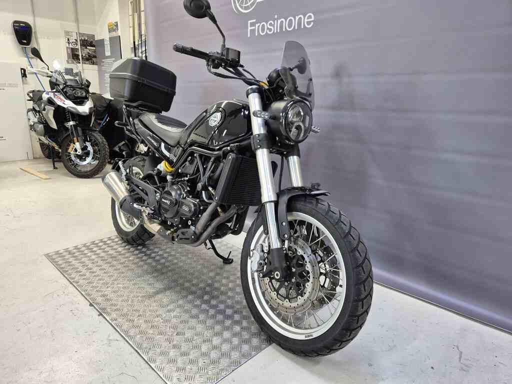 LEONCINO 500