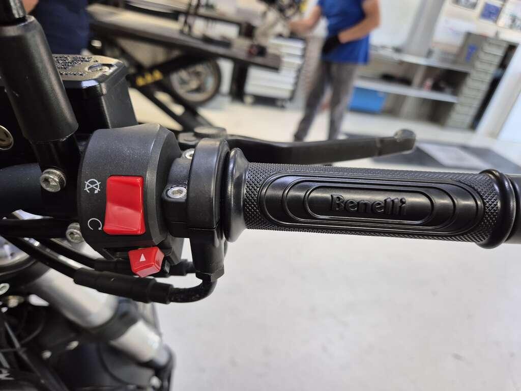 LEONCINO 500