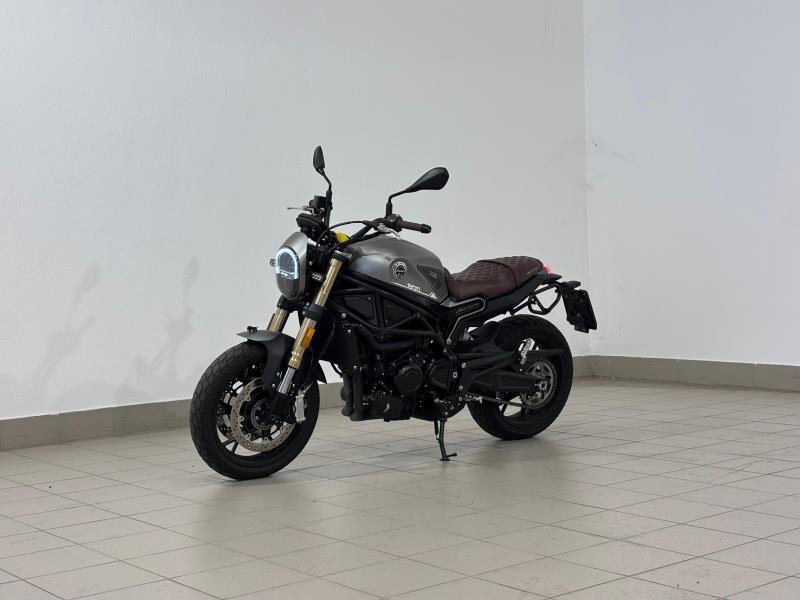 LEONCINO 500