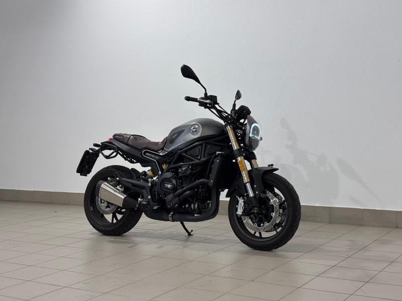 LEONCINO 500