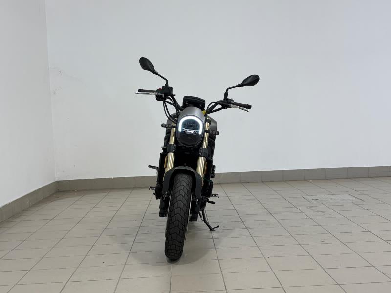 LEONCINO 500