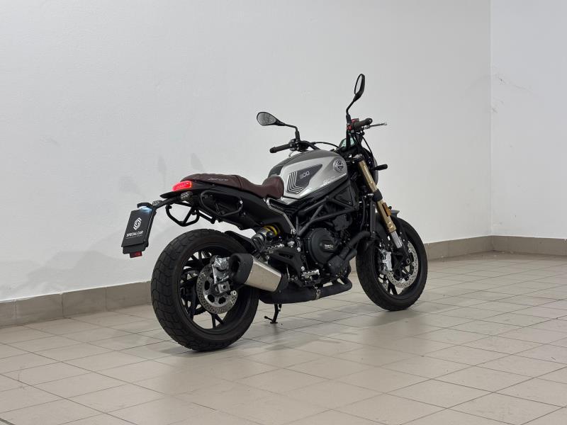LEONCINO 500