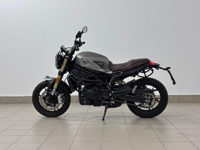 LEONCINO 500