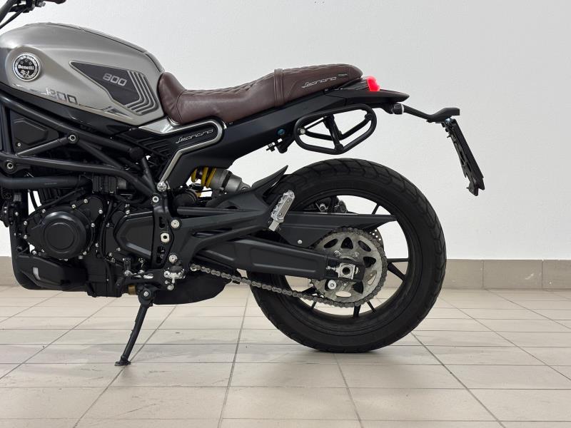 LEONCINO 500