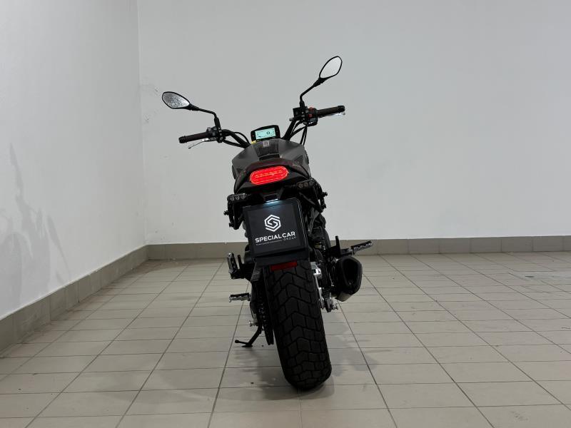 LEONCINO 500