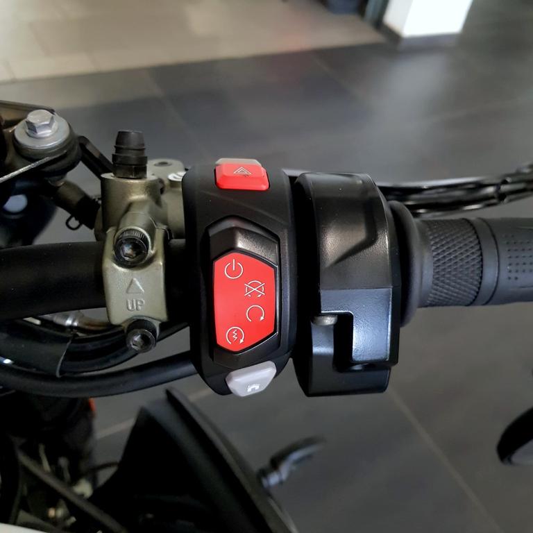 SPEED TRIPLE 1050