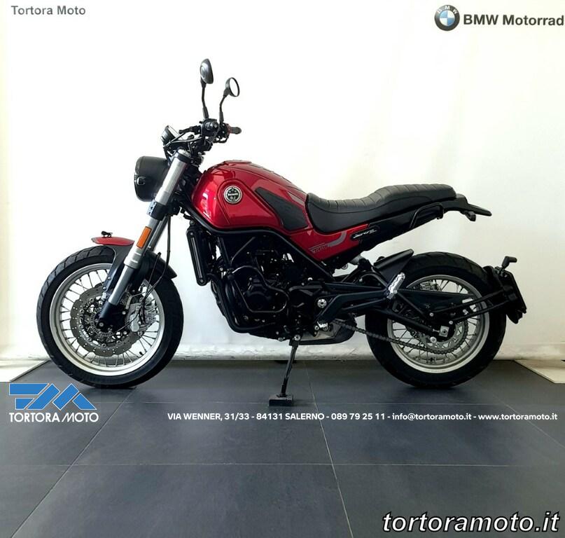 LEONCINO 500