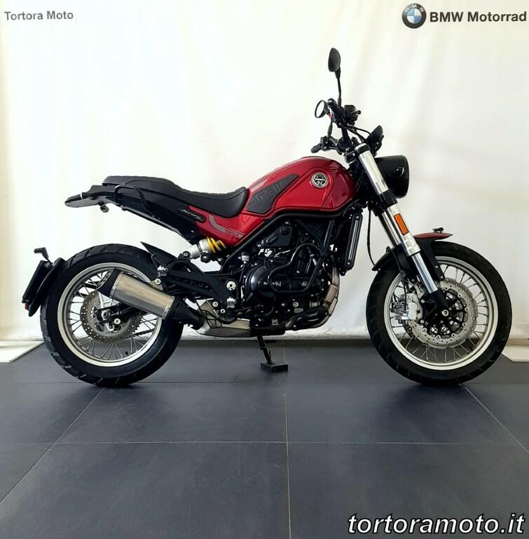LEONCINO 500