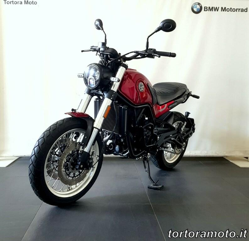 LEONCINO 500