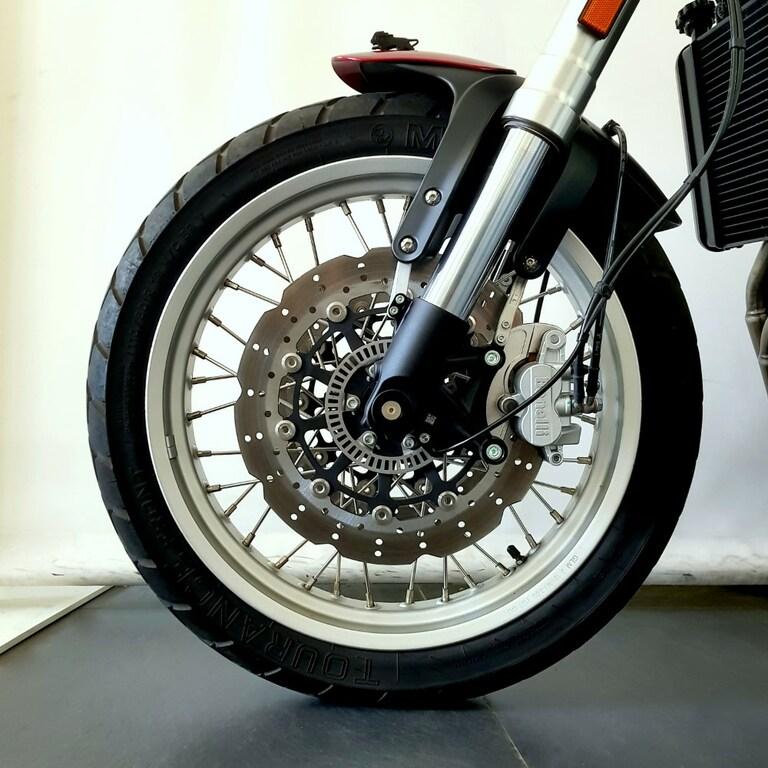 LEONCINO 500