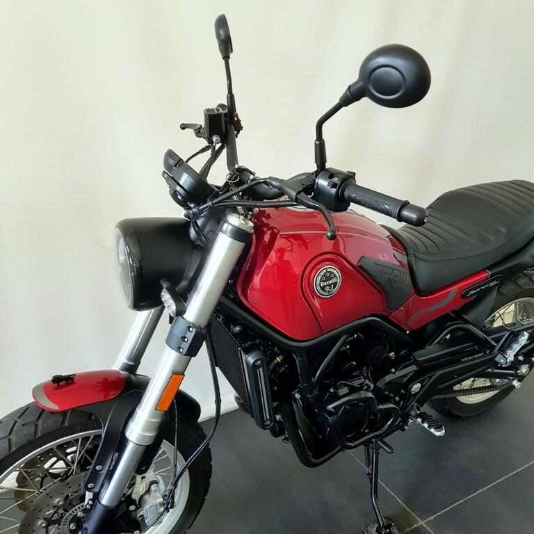 LEONCINO 500