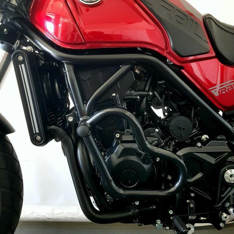 LEONCINO 500