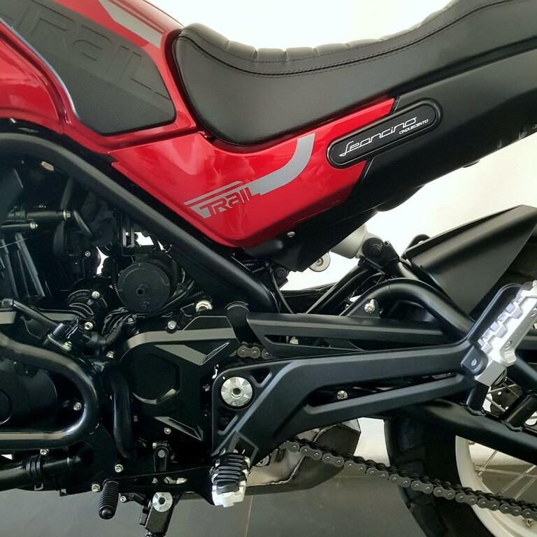 LEONCINO 500