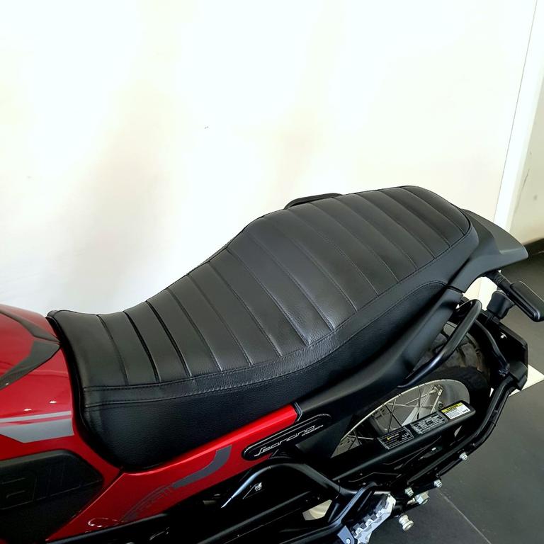 LEONCINO 500