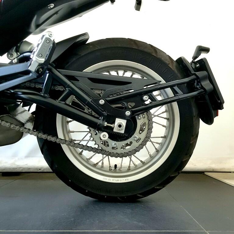 LEONCINO 500