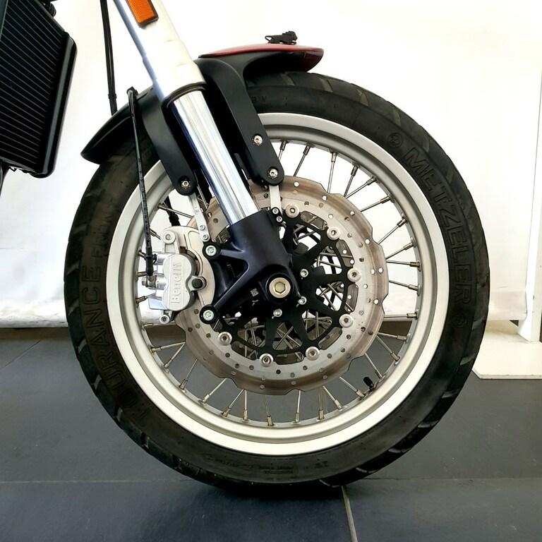 LEONCINO 500