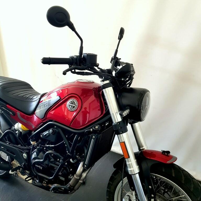 LEONCINO 500