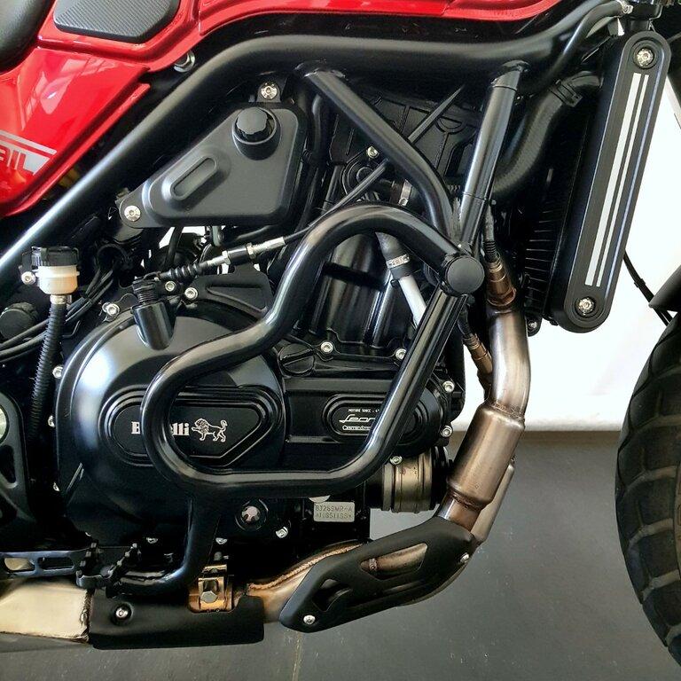 LEONCINO 500