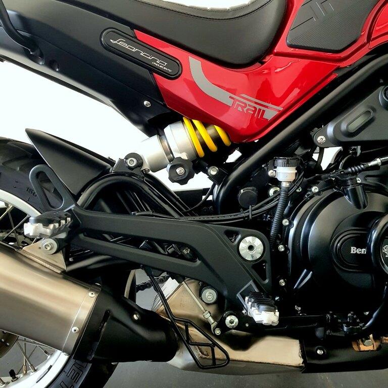 LEONCINO 500