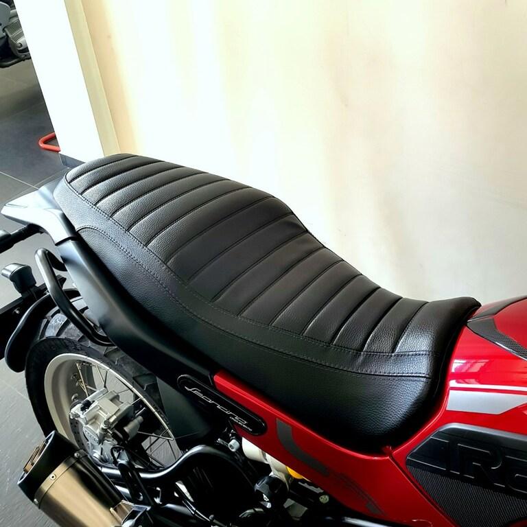 LEONCINO 500